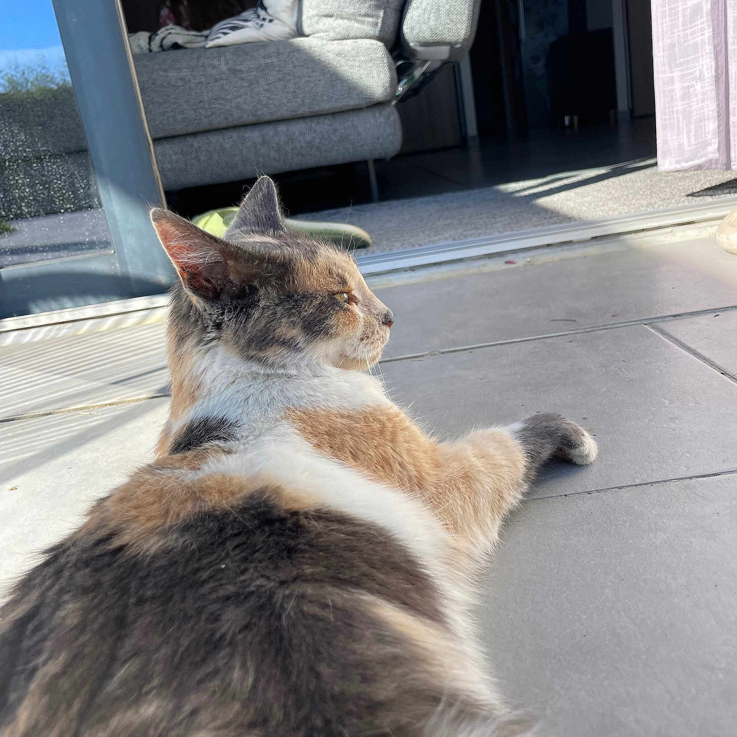 Minette