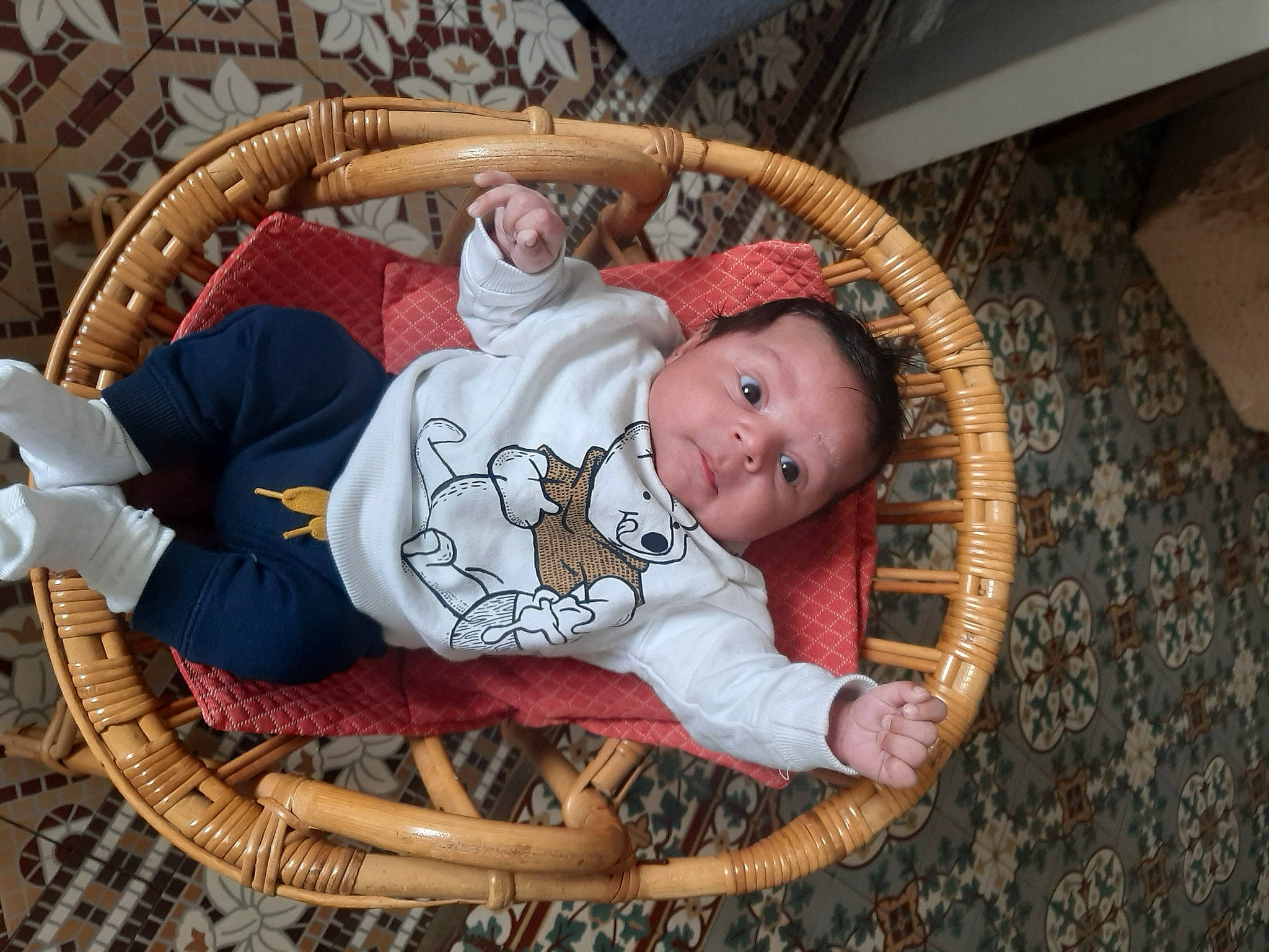 Adam a rejoint le concours — aidez-le/la à gagner de superbes lots ! baby, baby_products, baby_safety, baby_toddler_clothing, basket, child, comfort, fun, hardwood, human_body, infant_bed, linens, mammal, nap, person, room, sitting, sleep, toddler, tree