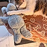 cat, sleeping, stuffed_toy, plush, blanket, orange_blanket, paw_prints, bone_pattern, indoor, tile_floor, cozy, pet, fur, relaxed, cute, animal, resting, soft_toy, home, comfort