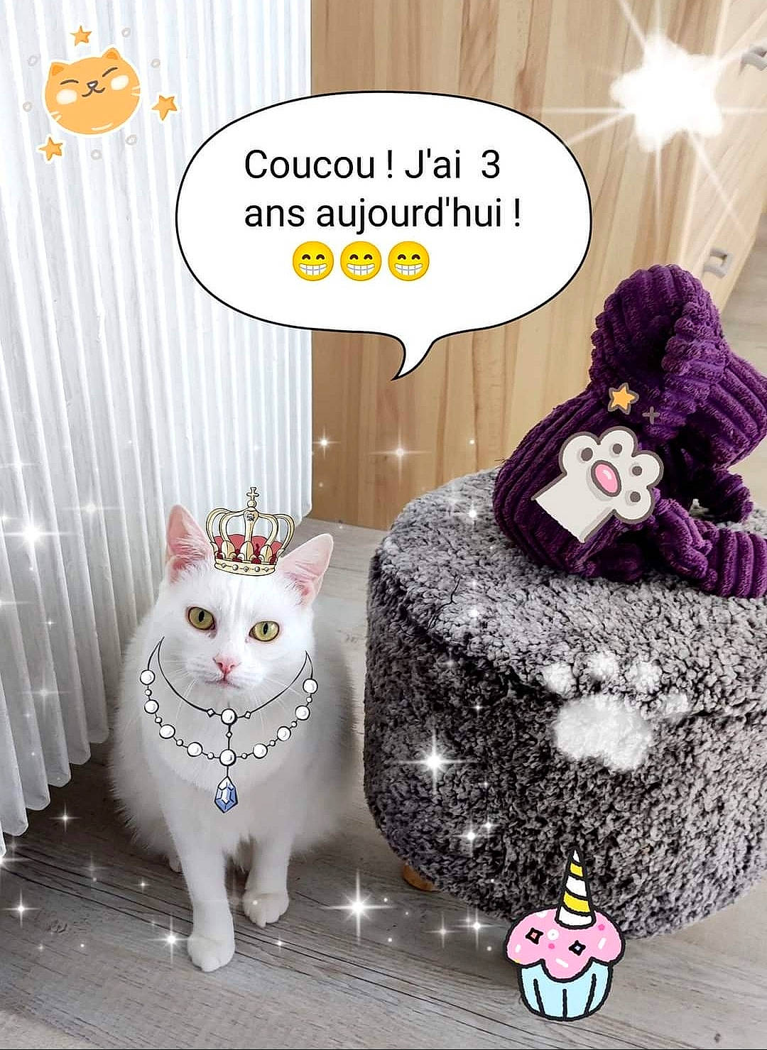Alba a rejoint le concours — aidez-le/la à gagner de superbes lots ! art, cat, felidae, fiction, fictional_character, font, fur, magenta, mammal, pattern, photo_caption, pink, room, small_to_medium_sized_cats, tail, toy, vertebrate, whiskers, white, wig