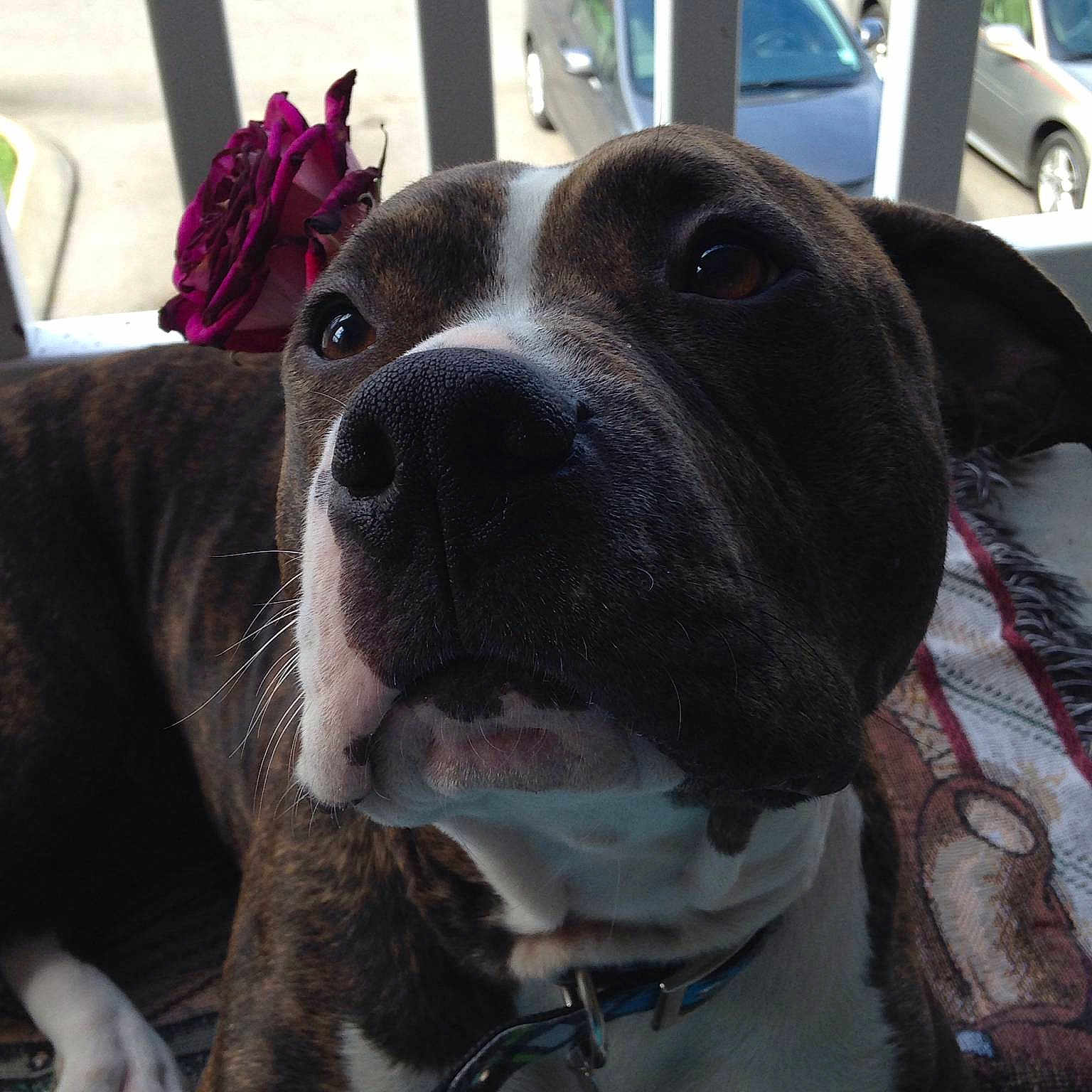 Gabbie is registered to the contest to win money with this photo: