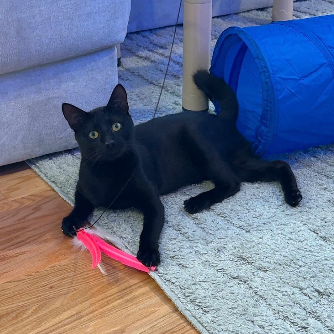 Max