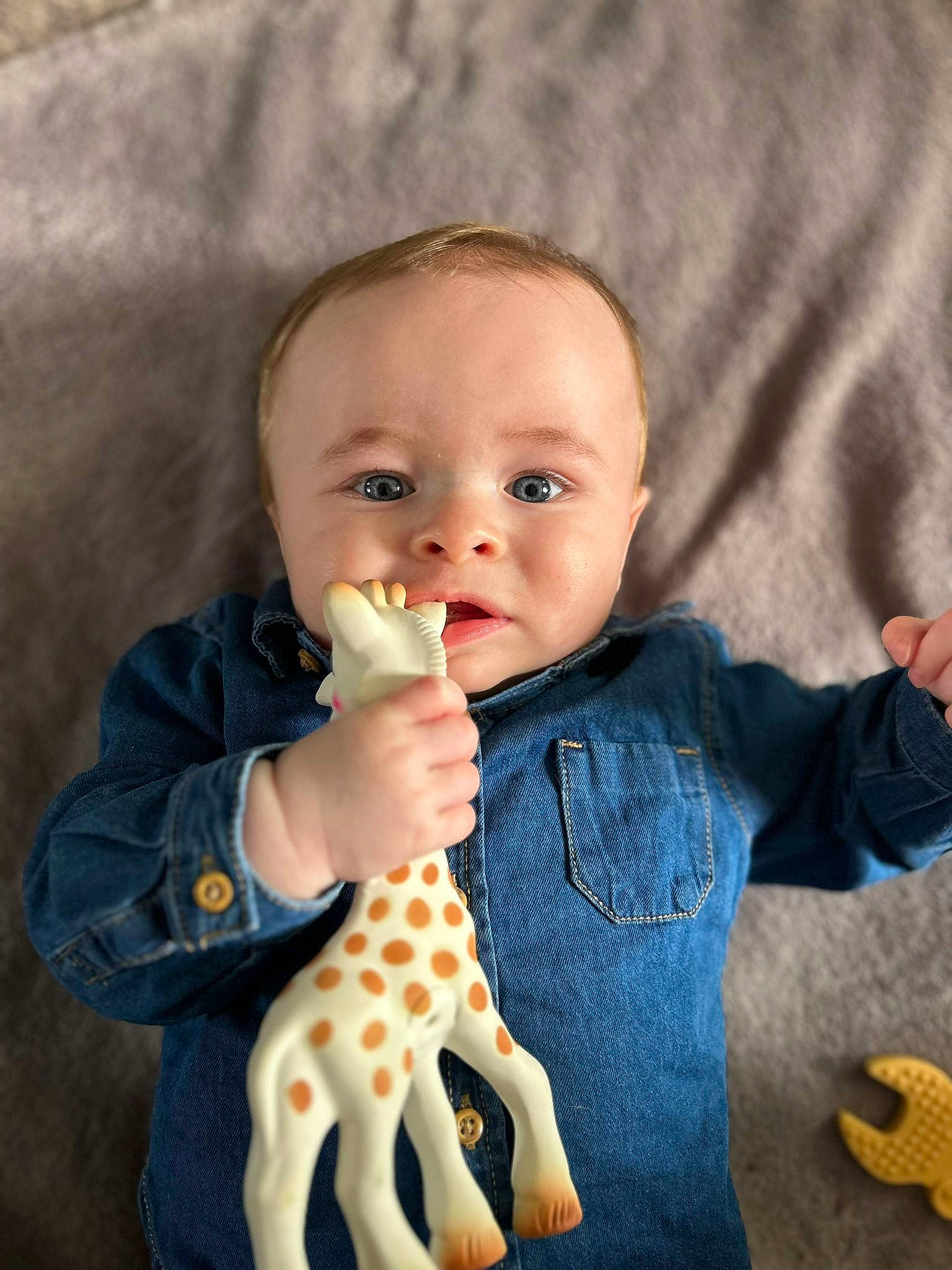 Cameron a rejoint le concours — aidez-le/la à gagner de superbes lots ! baby, baby_toddler_clothing, cheek, child, electric_blue, finger, fun, gesture, happy, iris, nail, nose, pattern, person, play, sitting, skin, sleeve, thumb, toddler