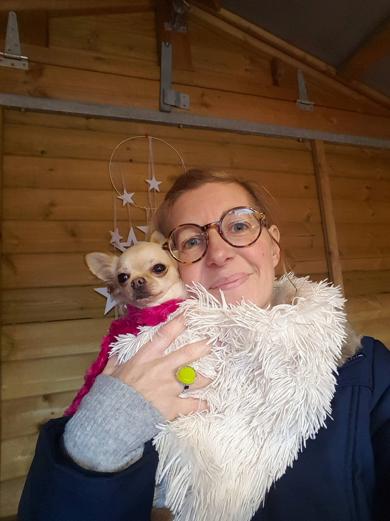 Maya participe au concours pour gagner de l'argent avec cette photo : cairn_terrier, canidae, carnivore, companion_dog, dog, dog_breed, fawn, mammal, norwich_terrier, person, west_highland_white_terrier