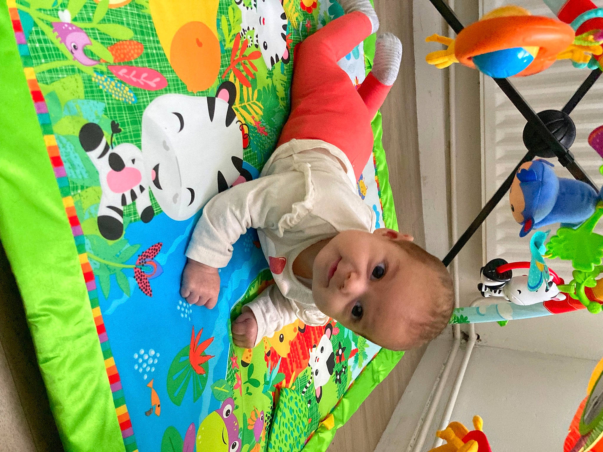 Myliana participe au concours pour gagner de l'argent avec cette photo : baby, baby_products, baby_toddler_clothing, baby_toys, child, fun, green, happy, leaf, leisure, pattern, person, play, product, red, room, textile, toddler, toy, tree