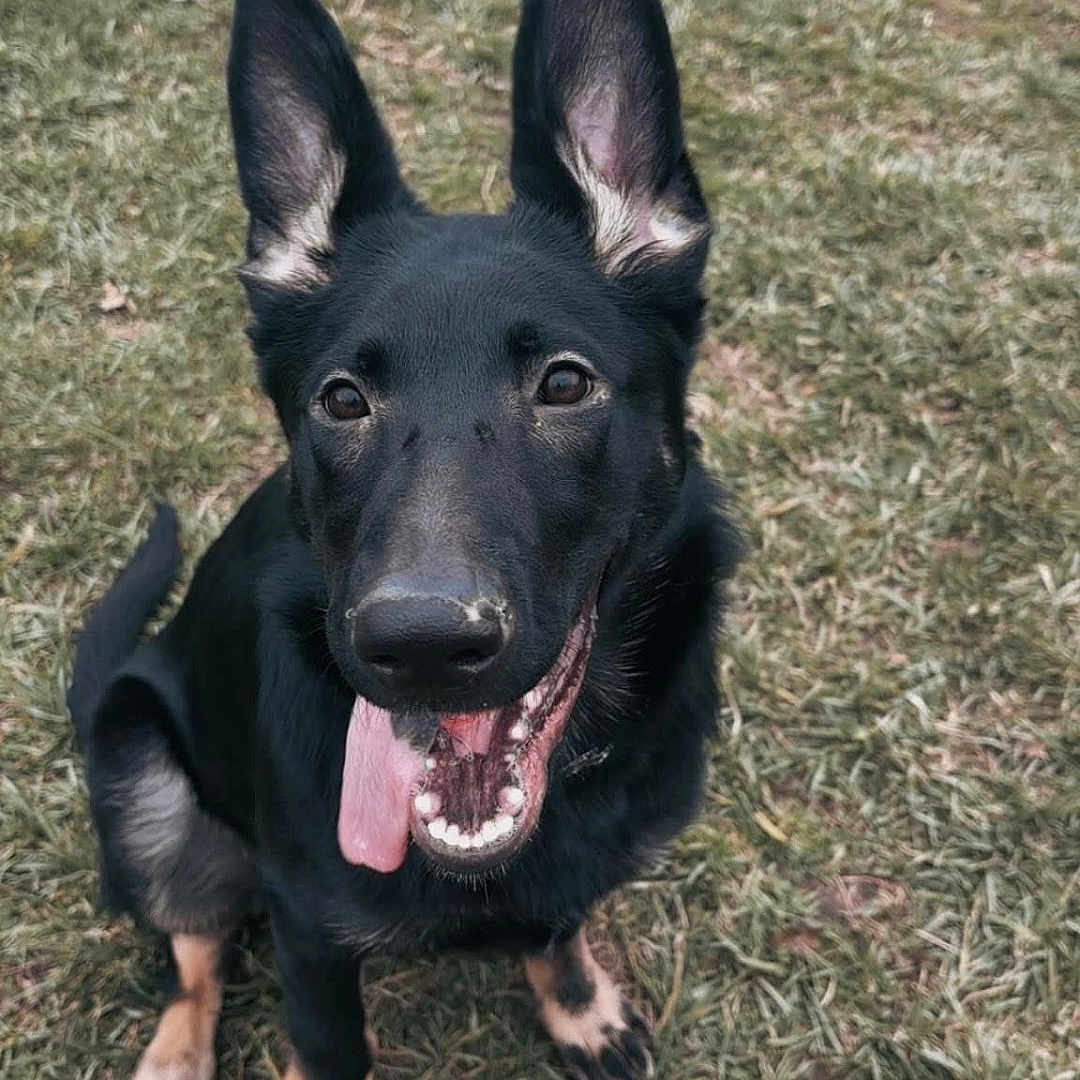 Kaia
