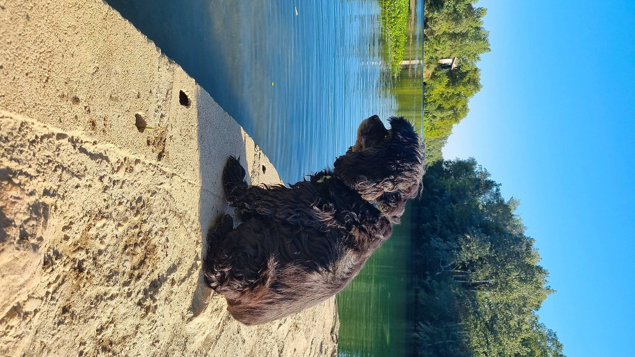 Holly a rejoint le concours — aidez-le/la à gagner de superbes lots ! erosion, formation, landscape, marine_mammal, plant, reflection, rock, shadow, sky, soil, tail, terrestrial_animal, tree, trunk, water, watercourse, wildlife, wood