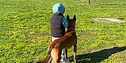 Nala a rejoint le concours — aidez-le/la à gagner de superbes lots ! child, dog, hoodie, vest, grass, field, trees, sunny, outdoor, sky, nature, pet, friendship, walking, shoes, daytime, park, canine, boy, companionship