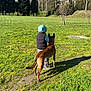 child, dog, hoodie, vest, grass, field, trees, sunny, outdoor, sky, nature, pet, friendship, walking, shoes, daytime, park, canine, boy, companionship