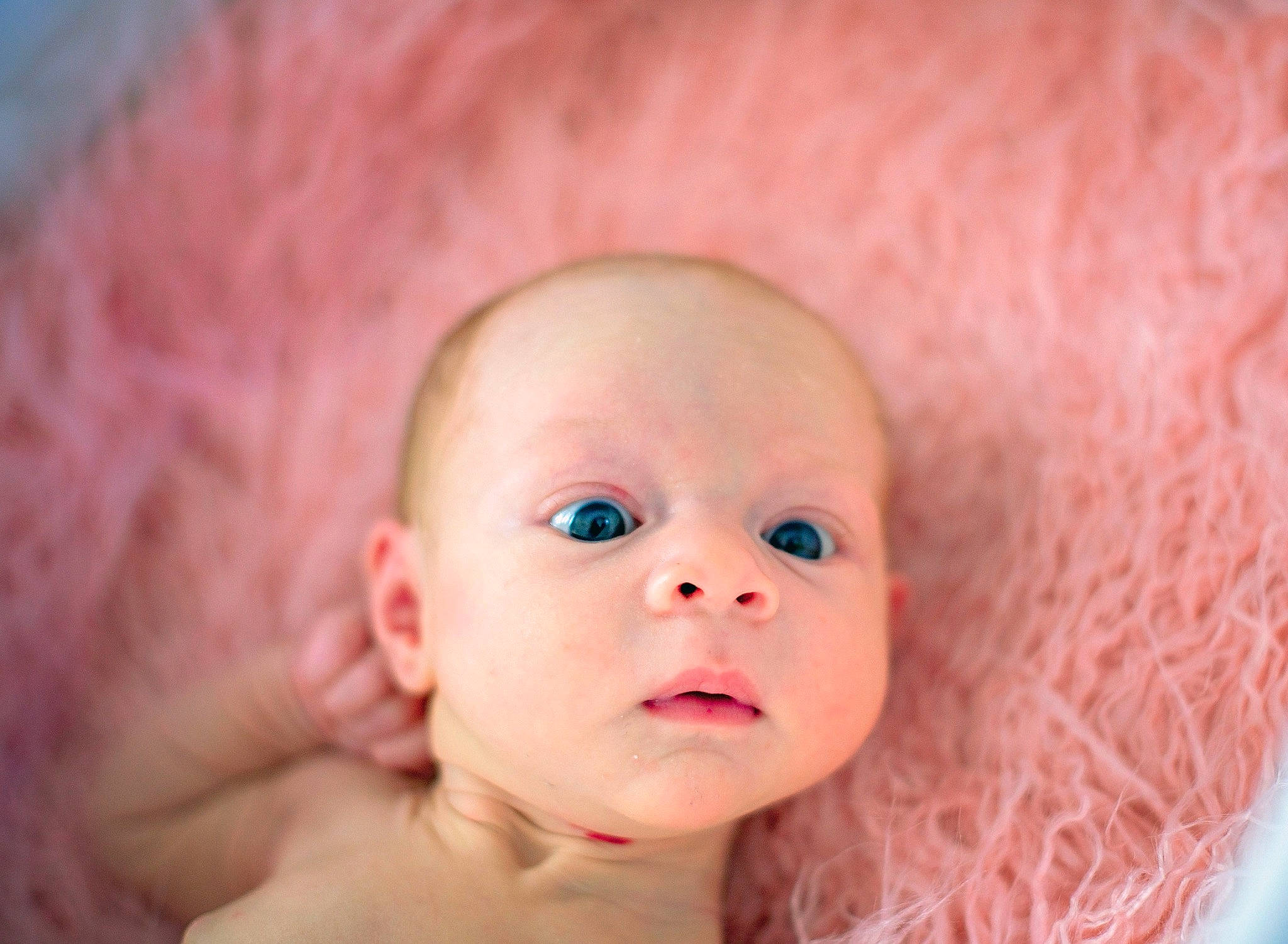 Annalynn joined the competition — help win amazing prizes! baby, cheek, child, chin, close_up, comfort, eye, eyebrow, eyelash, flash_photography, fur, happy, head, iris, lip, magenta, nose, person, pink, portrait_photography