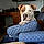 Waylon