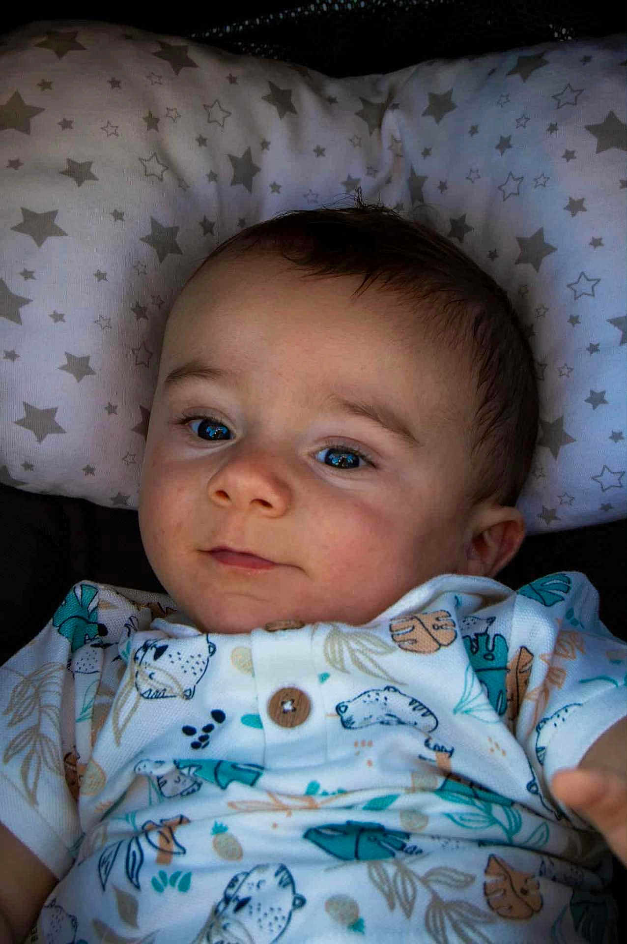 Noah