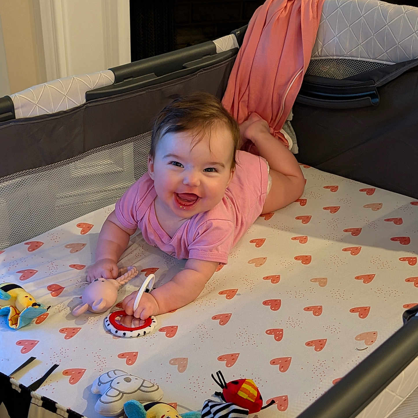 Isla
