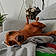 Rey