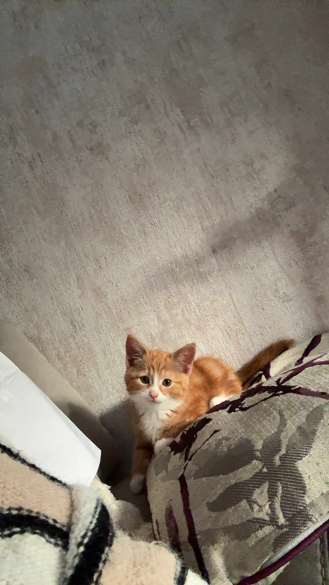 Tigger