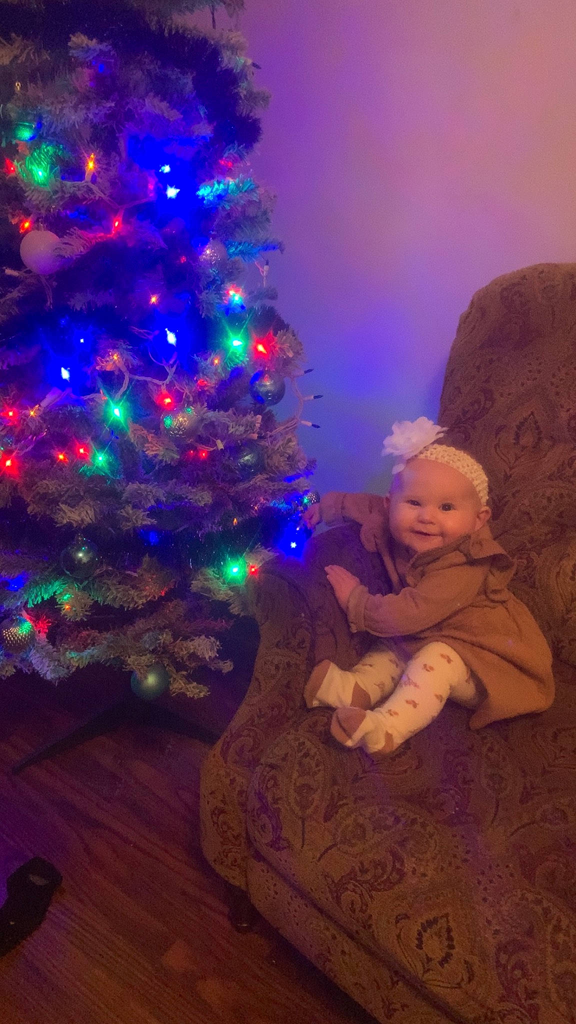 Hazleigh joined the competition — help win amazing prizes! baby, christmas, christmas_decoration, christmas_eve, christmas_ornament, christmas_tree, electric_blue, event, evergreen, fun, happy, holiday, holiday_ornament, ornament, person, plant, purple, room, smile, tree