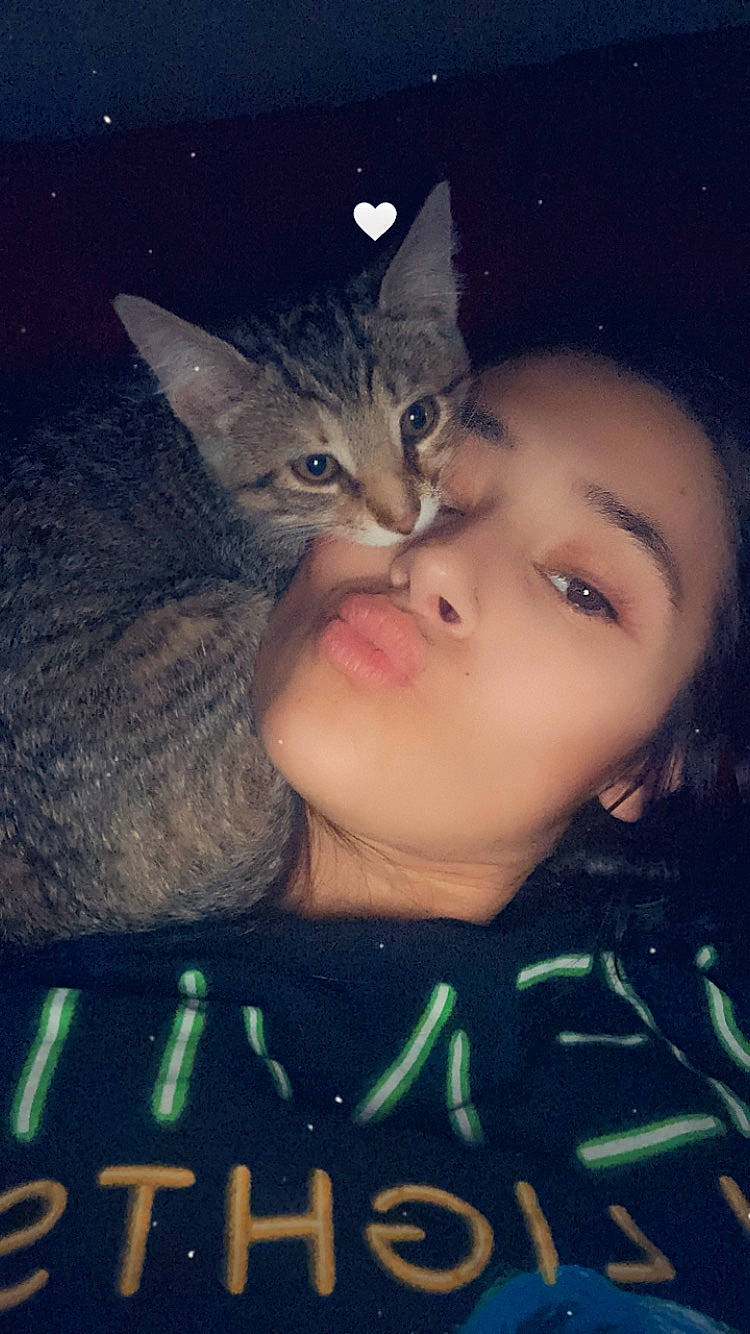 Peanut is registered to the contest to win money with this photo: carnivore, cat, cool, darkness, domestic_short_haired_cat, electric_blue, eye, eyelash, felidae, flash_photography, fur, gesture, happy, head, iris, jaw, nose, small_to_medium_sized_cats, space, whiskers