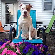 Deacon is registered to the contest to win money with this photo: