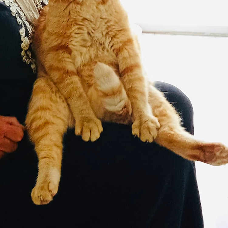 Caramel