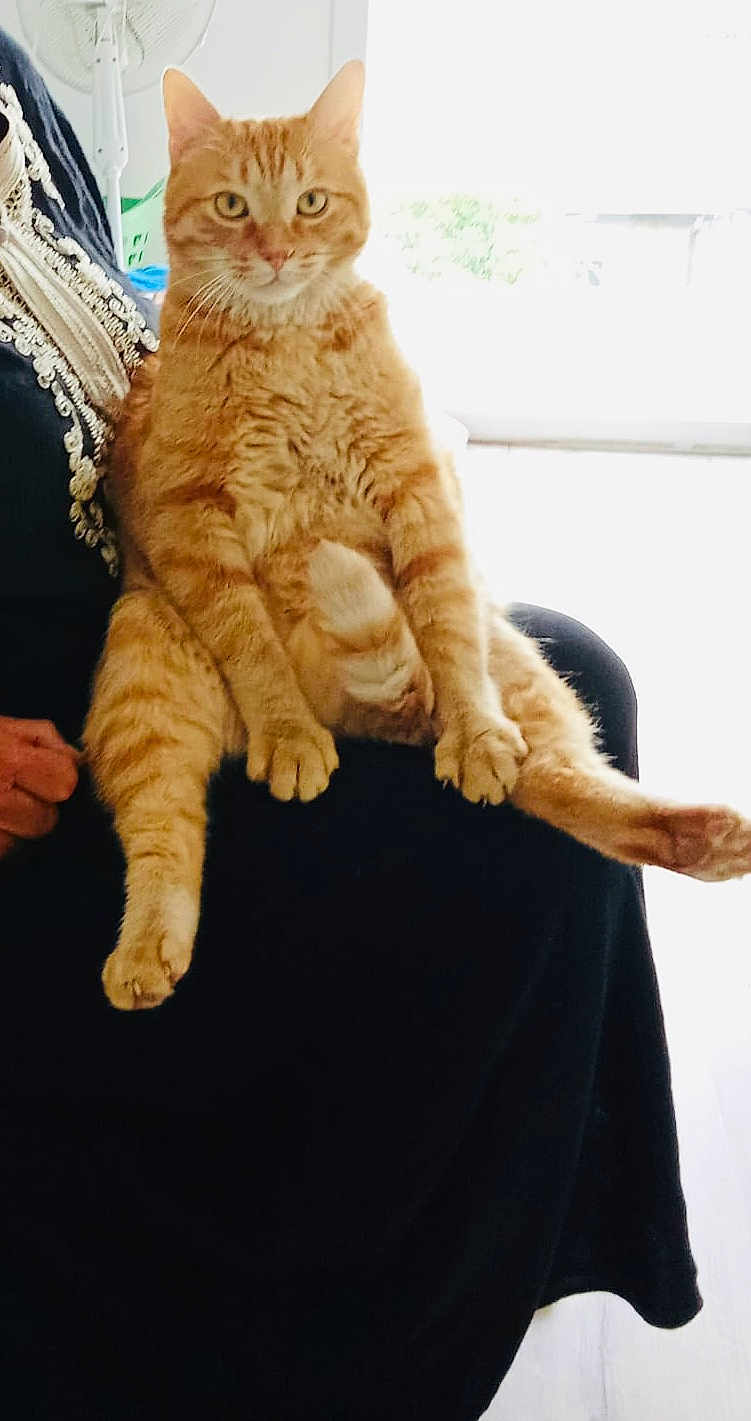 Caramel