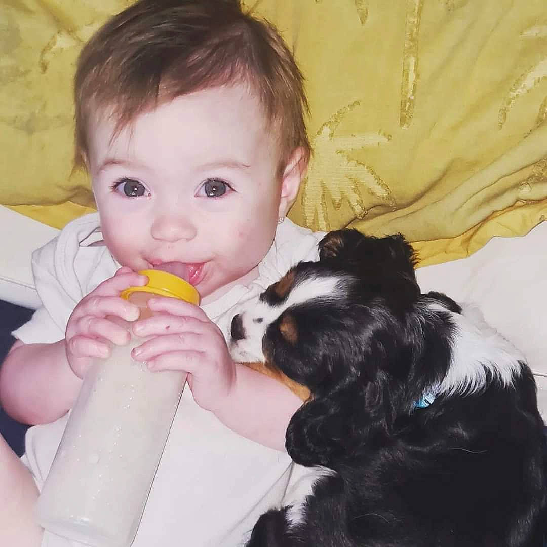 Kayla joined the competition — help win amazing prizes! baby, baby_bottle, baby_toddler_clothing, bottle, carnivore, comfort, companion_dog, dog, dog_breed, drinkware, ear, eye, eyelash, happy, iris, nose, person, plastic_bottle, skin, toddler
