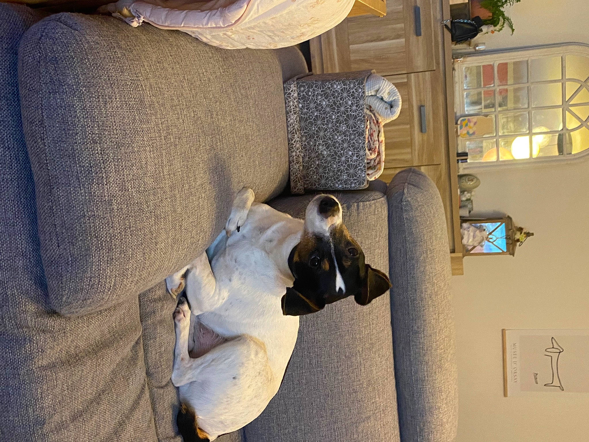 Burpee a rejoint le concours — aidez-le/la à gagner de superbes lots ! art, comfort, dress, flooring, grey, house, linens, room, sculpture, shadow, shelf, shelving, sitting, visual_arts, window, wood