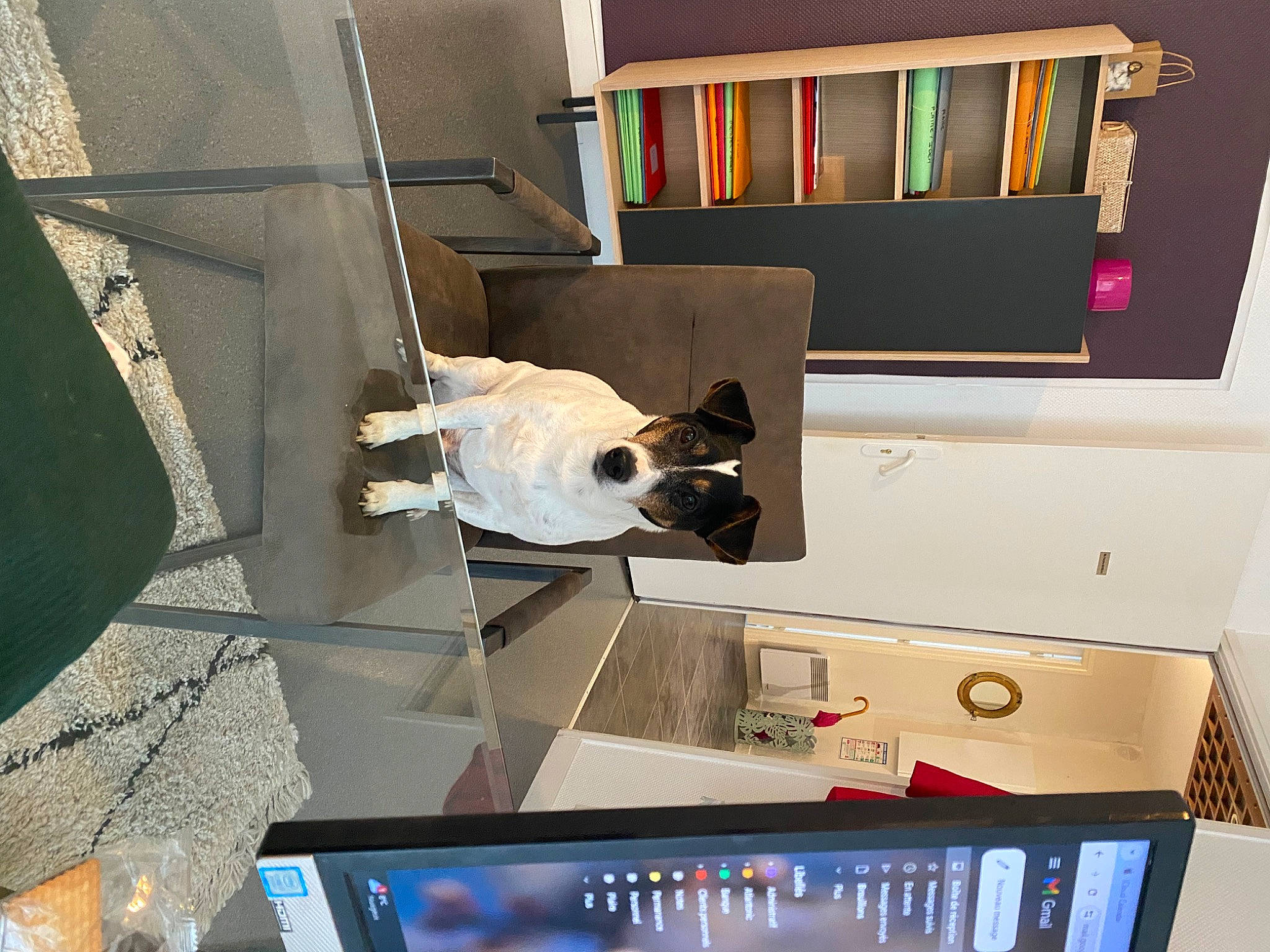 Burpee a rejoint le concours — aidez-le/la à gagner de superbes lots ! audio_equipment, bookcase, ceiling, computer, design, display_device, eyewear, flooring, gadget, hardwood, laptop, machine, multimedia, output_device, plywood, room, shelf, shelving, space, wood