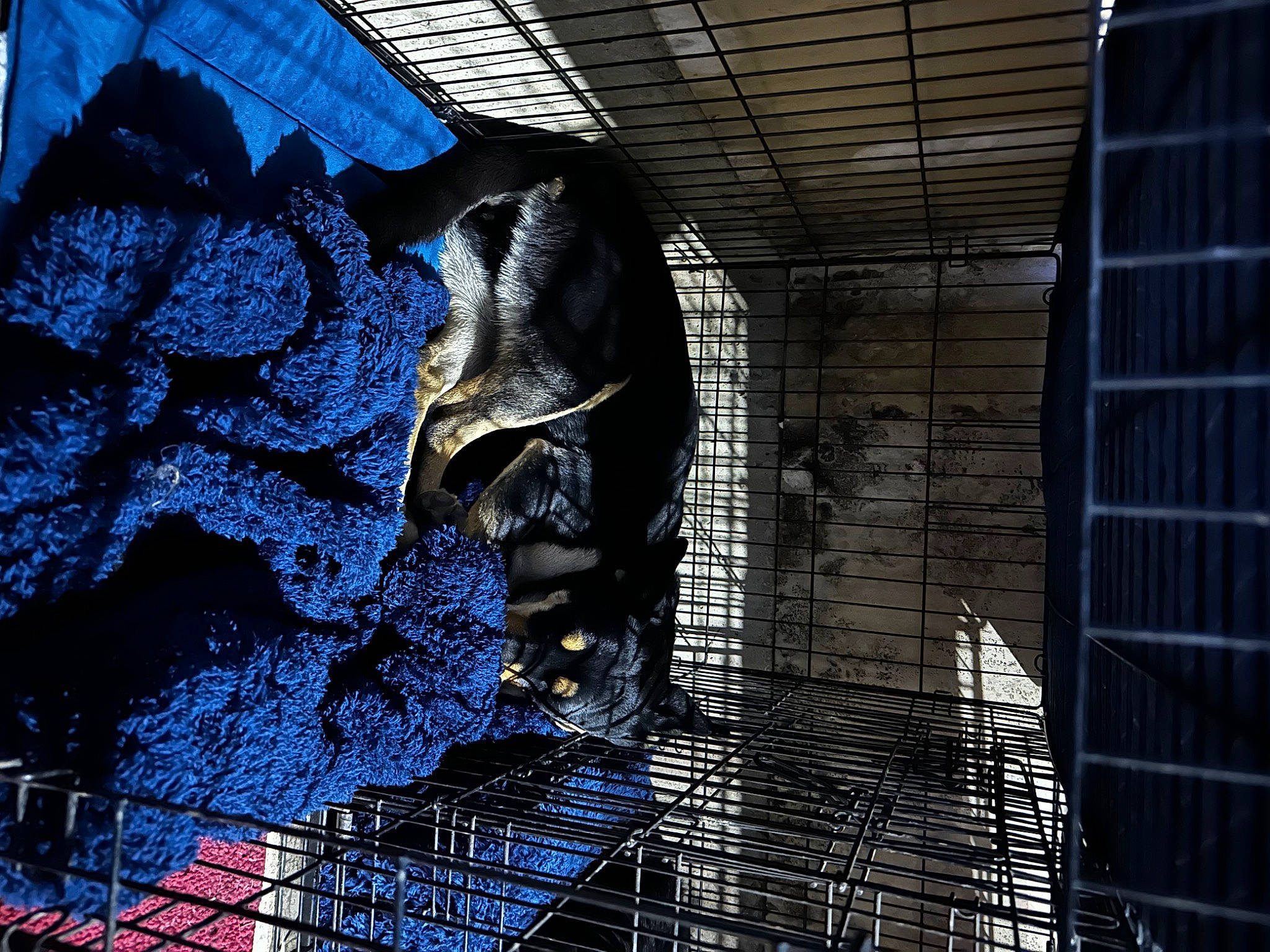 Daffodil joined the competition — help win amazing prizes! art, brick, brickwork, city, darkness, daylighting, electric_blue, facade, fictional_character, glass, metal, pattern, reflection, sculpture, shadow, symmetry, tree, visual_arts, water, wood