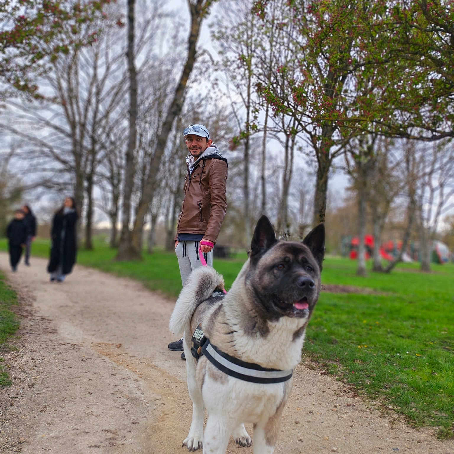 Djéna a rejoint le concours — aidez-le/la à gagner de superbes lots ! dog, leash, man, path, park, trees, grass, outdoor, walk, harness, person, casual_clothing, nature, daytime, smile, animal, pet, walking, background, blur