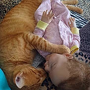 Sugar And Tiger joined the competition — help win amazing prizes! cat, orange_tabby, baby_doll, pink_pajamas, leopard_print_blanket, cuddling, paw, fur, toy, sleeping, close_up, indoor, resting, animal, pet, soft_texture, cute, cozy, relaxation, companion