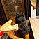 Artus