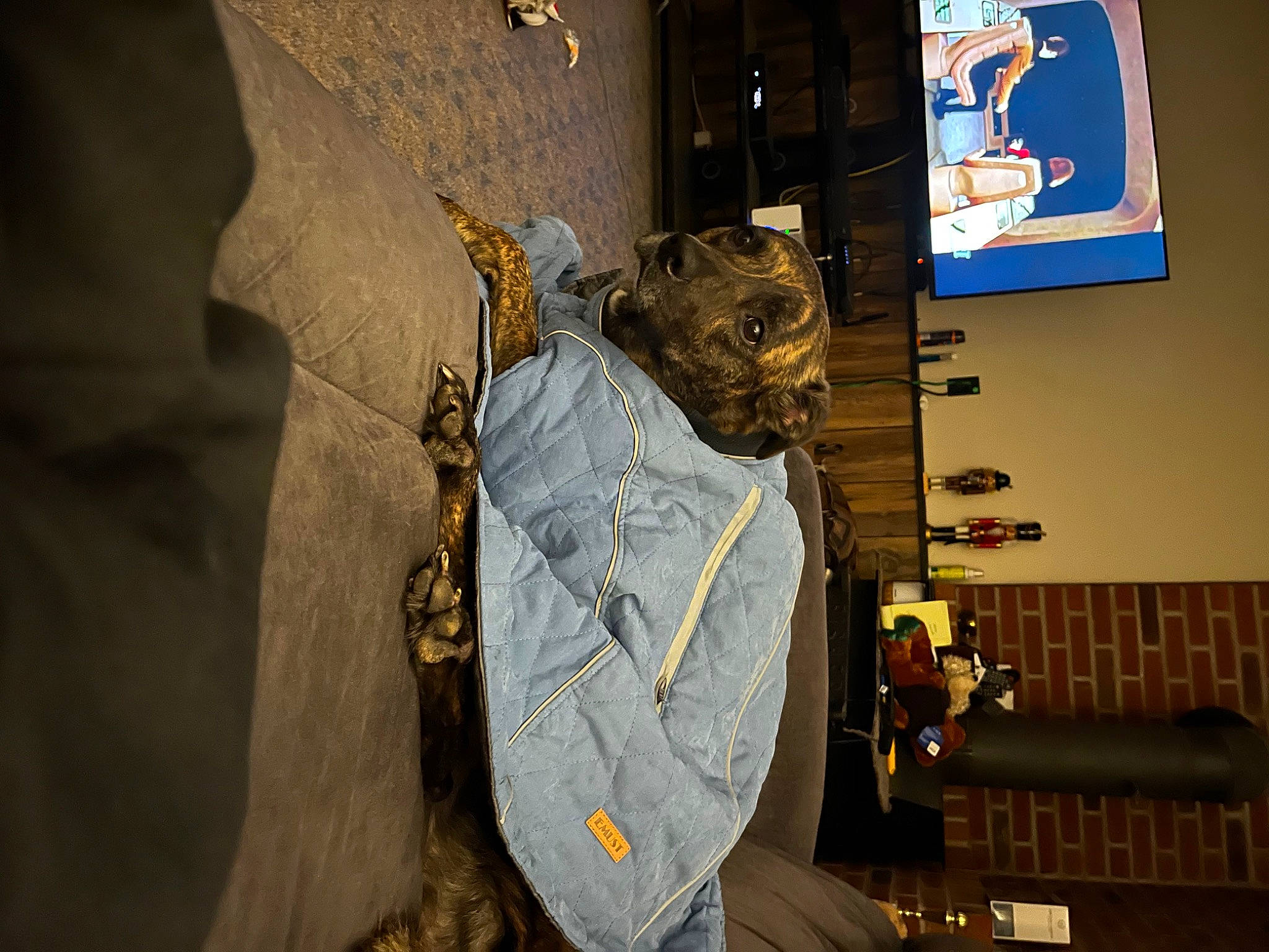 Trinity joined the competition — help win amazing prizes! art, artifact, carmine, fashion_accessory, fictional_character, font, graphics, machine, metal, personal_protective_equipment, room, sculpture, space, t_shirt, visual_arts, wood, world