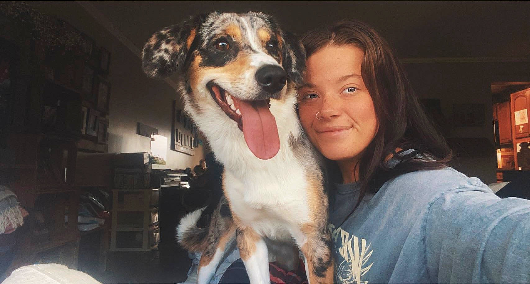 Koa joined the competition — help win amazing prizes! ancient_dog_breeds, canidae, carnivore, companion_dog, dog, dog_breed, fang, flash_photography, fun, fur, happy, jaw, smile, sporting_group, whiskers, working_animal, working_dog