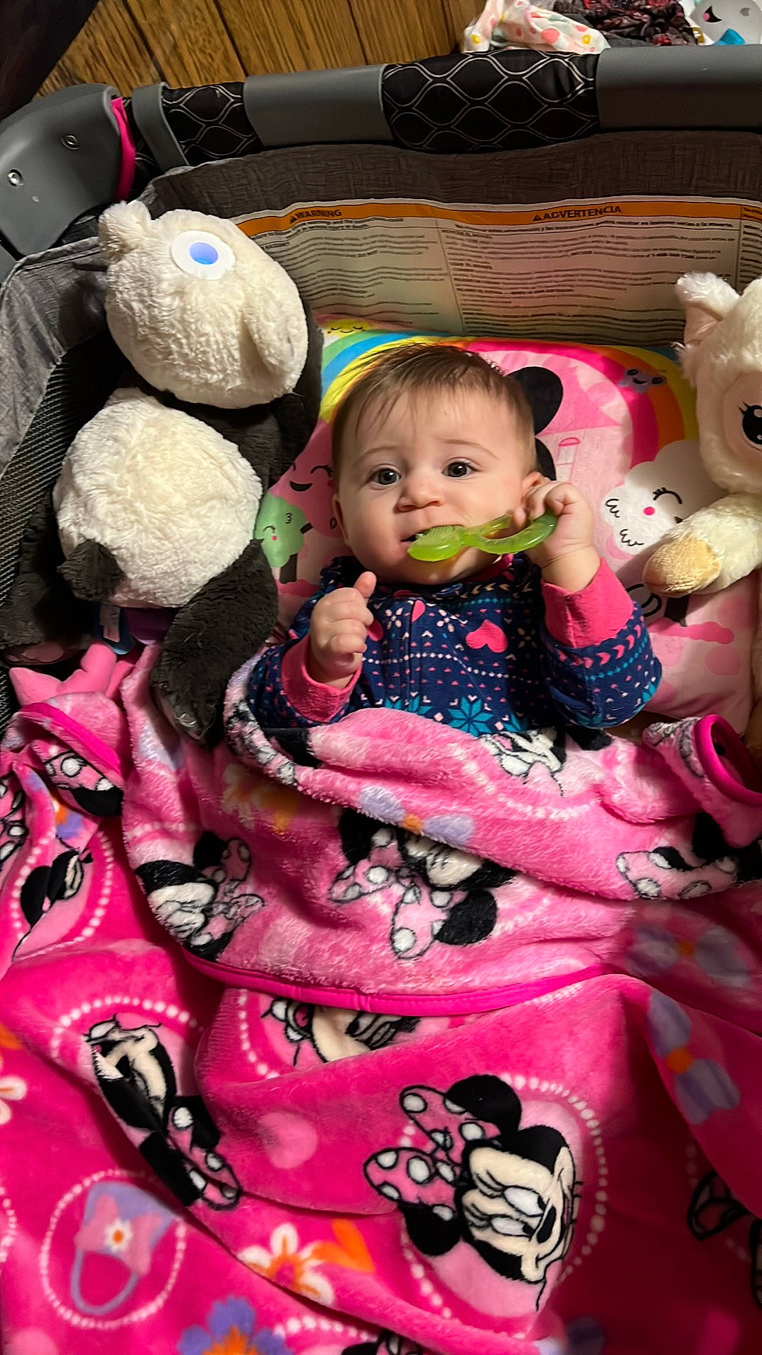 Genevieve joined the competition — help win amazing prizes! baby, baby_carriage, baby_products, baby_toddler_clothing, cheek, child, doll, event, fun, happy, head, magenta, person, pink, sitting, skin, smile, stuffed_toy, textile, toddler