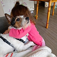 Mickey a rejoint le concours — aidez-le/la à gagner de superbes lots ! accessories, animal, canine, child, cockerspaniel, couch, dog, female, furniture, girl, hardwood, hound, papillon, person, pet, plywood, puppy, strap, terrier, wood