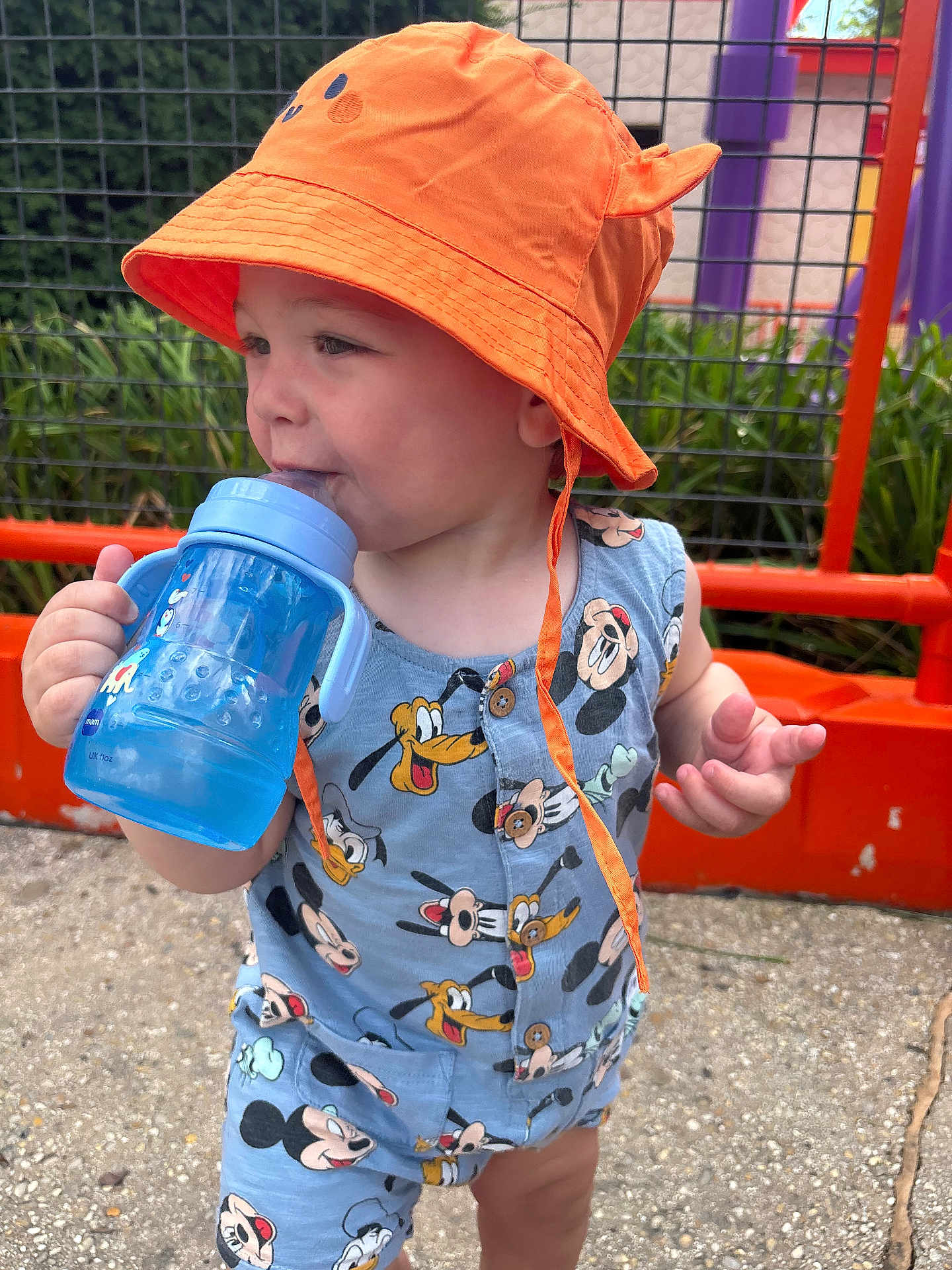 Maël participe au concours pour gagner de l'argent avec cette photo : toddler, child, hat, orange_hat, sippy_cup, blue_cup, mickey_mouse, cartoon_clothing, outdoor, fence, greenery, playground, smiling, cute, summer_clothes, baby, person, daylight, standing, casual