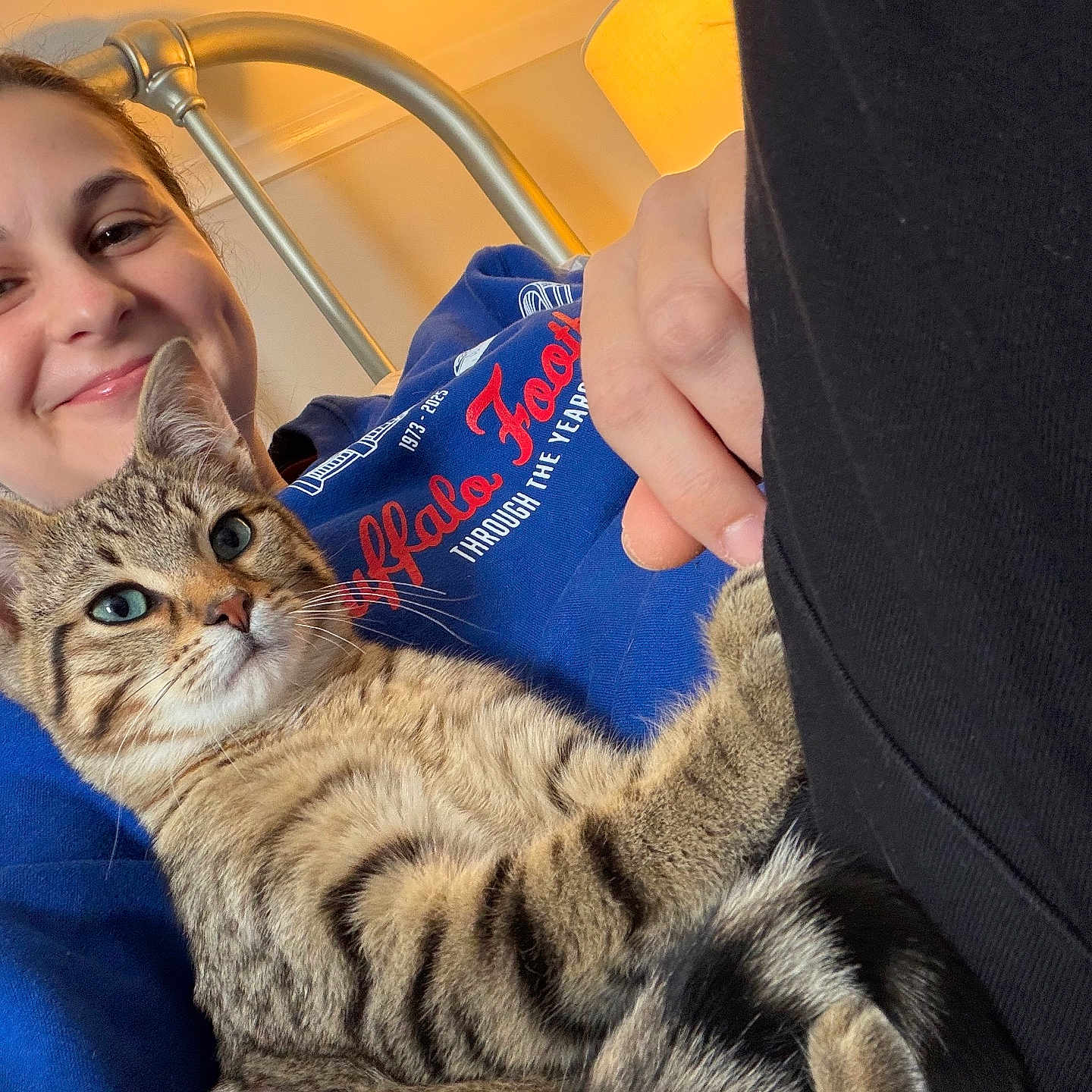 Theo joined the competition — help win amazing prizes! animal, bed_frame, bedroom, blue_sweatshirt, cat, closeup, comfort, cuddling, domestic, fur, happy, indoor, lamp, person, pet, portrait, relaxation, smiling, tabby_cat, whiskers