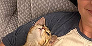 Theo joined the competition — help win amazing prizes! cat, person, couch, snuggling, tabby_cat, glasses, smile, indoor, cozy, blanket, patterned_fabric, relaxing, pet, companion, cute, comfort, resting, casual, home, affection