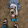 Sweet Pea is registered to the contest to win money with this photo: dog, small_dog, french_bulldog, purple_shirt, blue_skirt, carpet, toy, blue_toy, tongue_out, looking_up, feet, sandals, floral_sandals, socks, jeans, indoor, pet, cute, playful, animal