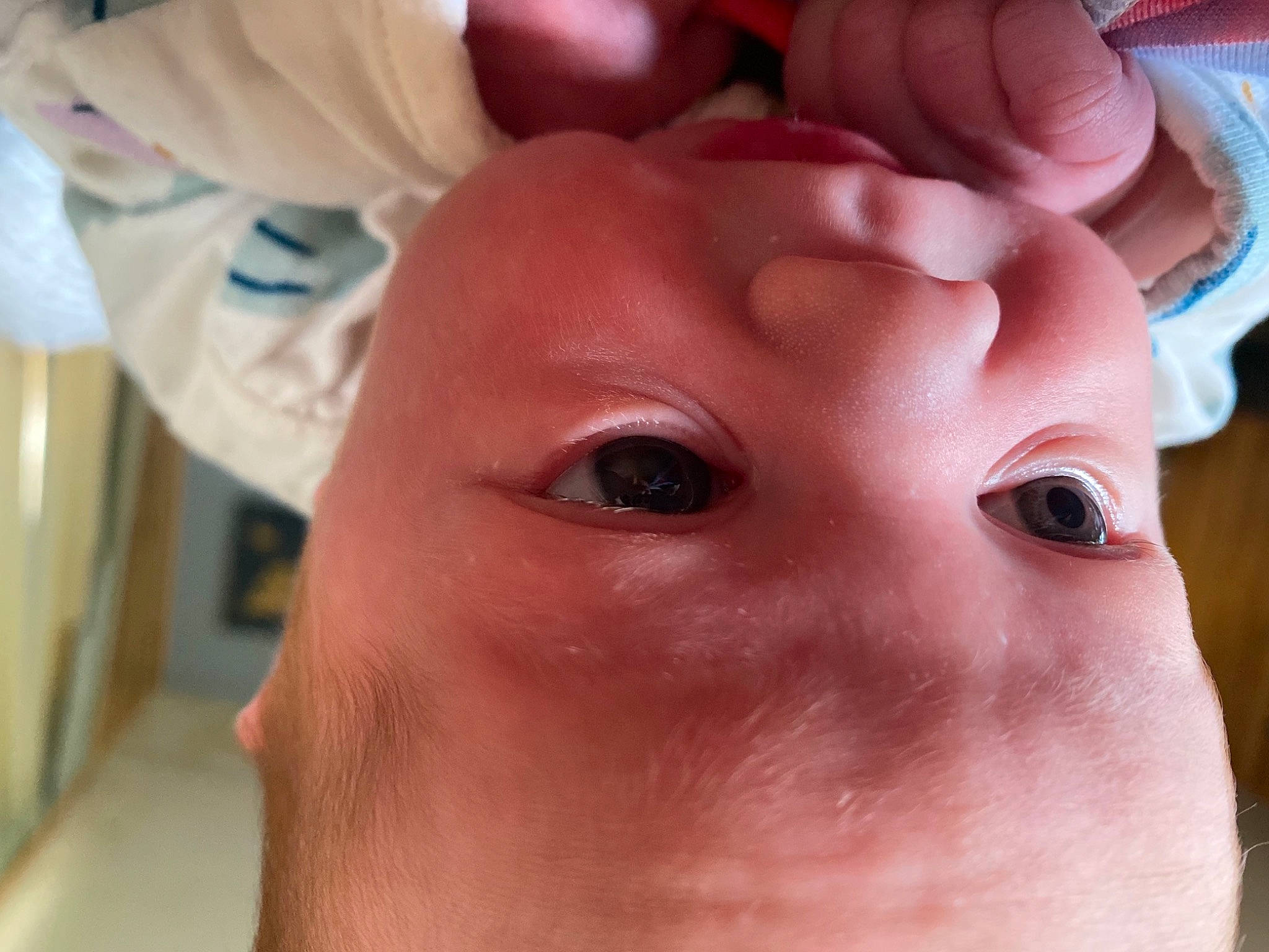 Henley joined the competition — help win amazing prizes! cheek, chest, eye, eyebrow, eyelash, finger, gesture, human_body, jaw, lip, mouth, nail, neck, nose, service, skin, snout, thumb, wrinkle, wrist