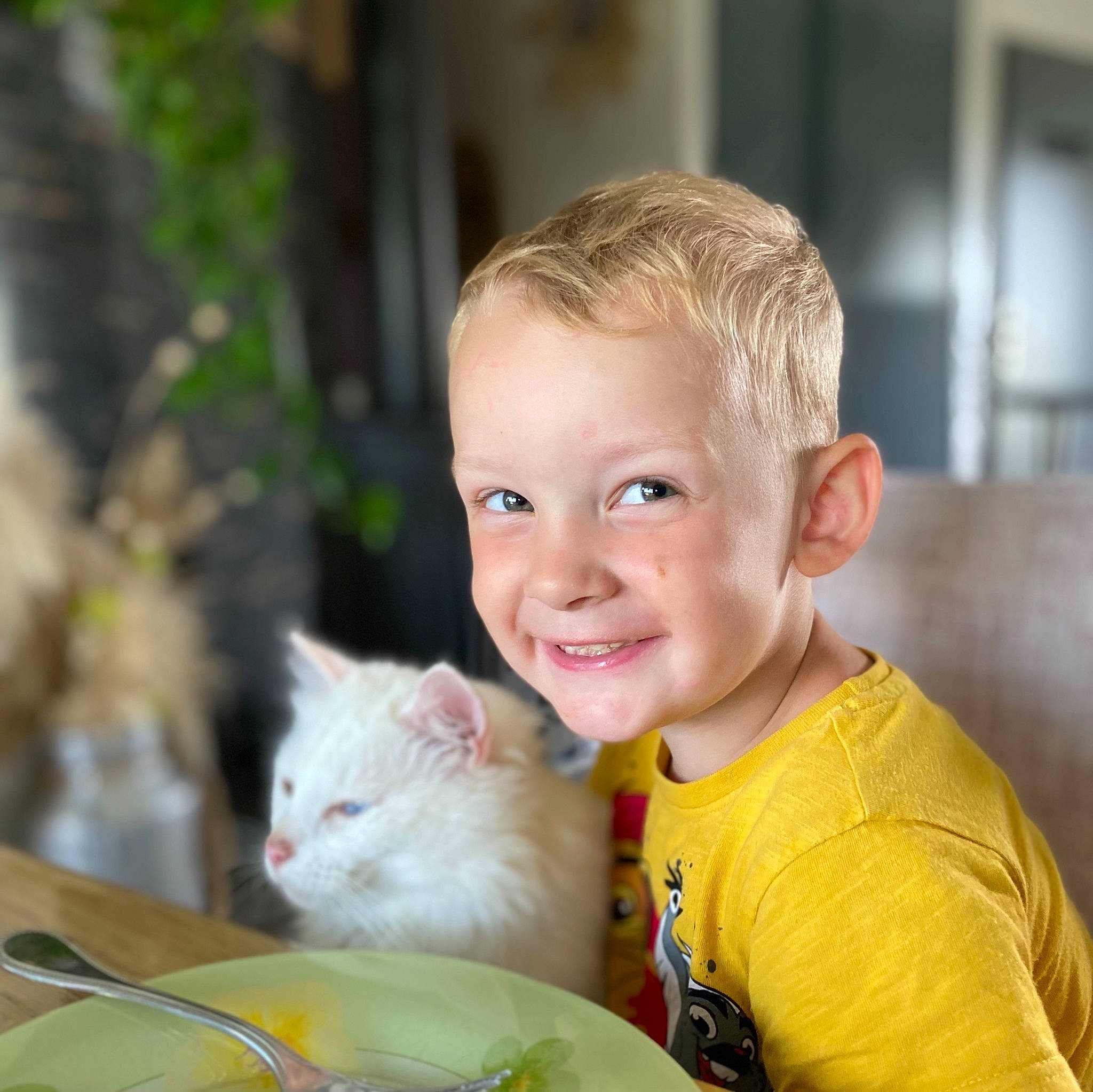 Nyno participe au concours pour gagner de l'argent avec cette photo : blond, carnivore, cat, child, companion_dog, eye, felidae, grass, hair, happy, head, iris, joy, person, sitting, skin, small_to_medium_sized_cats, smile, toddler, tree
