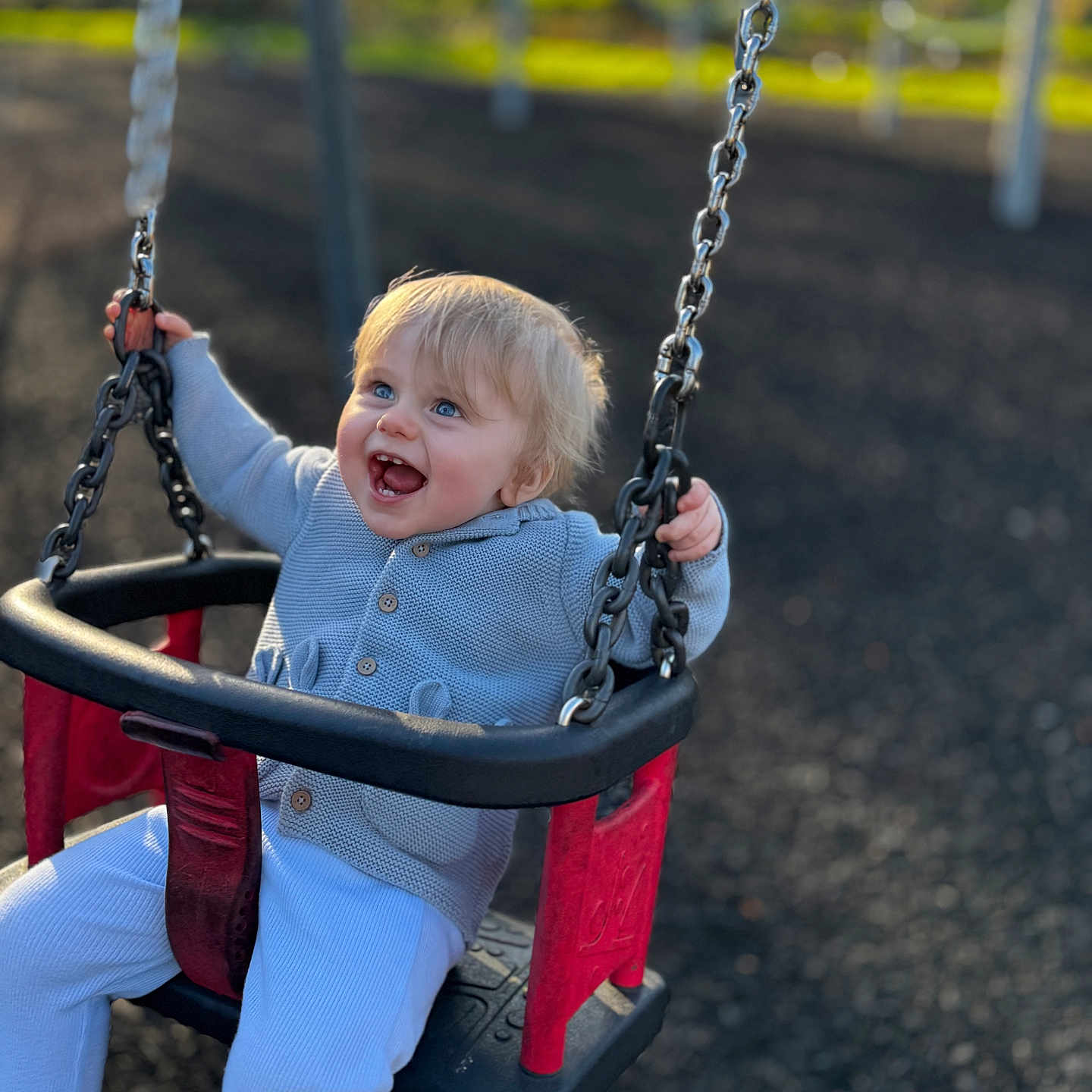 Roman is registered to the contest to win money with this photo: baby, clothing, face, grass, happy, head, laughing, nature, outdoorplayarea, outdoors, pants, park, person, photography, plant, playarea, portrait, smile, swing, toy