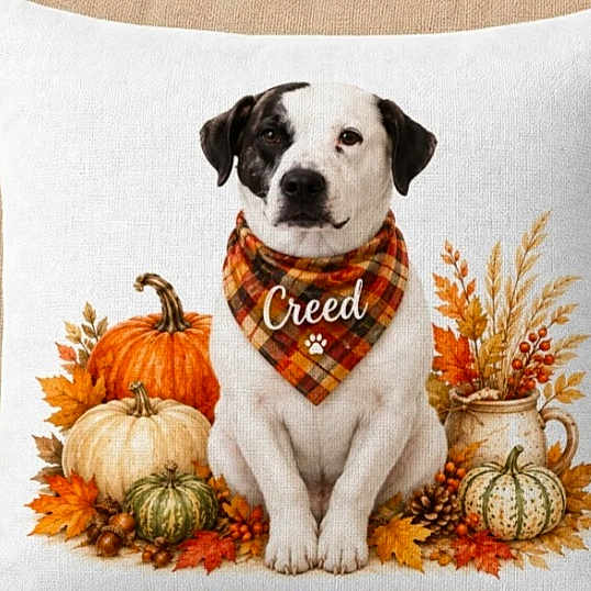 Creed