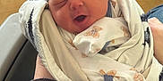 Archer joined the competition — help win amazing prizes! newborn, baby, blanket, hat, person, infant, sleeping, yawning, wrapped, hands, clothing, pattern, bear, cute, indoor, soft, cozy, warm, wood_floor, human