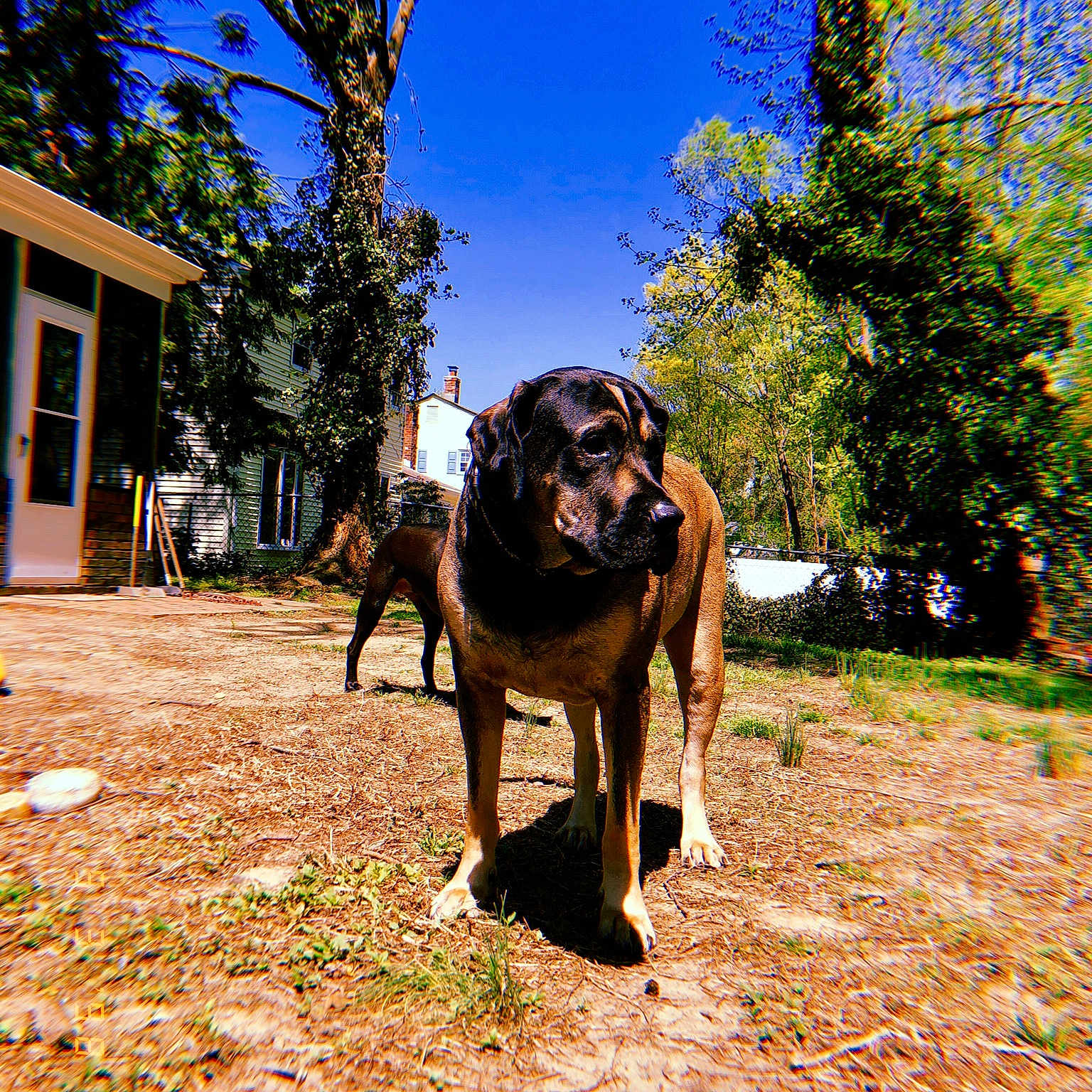 Titan