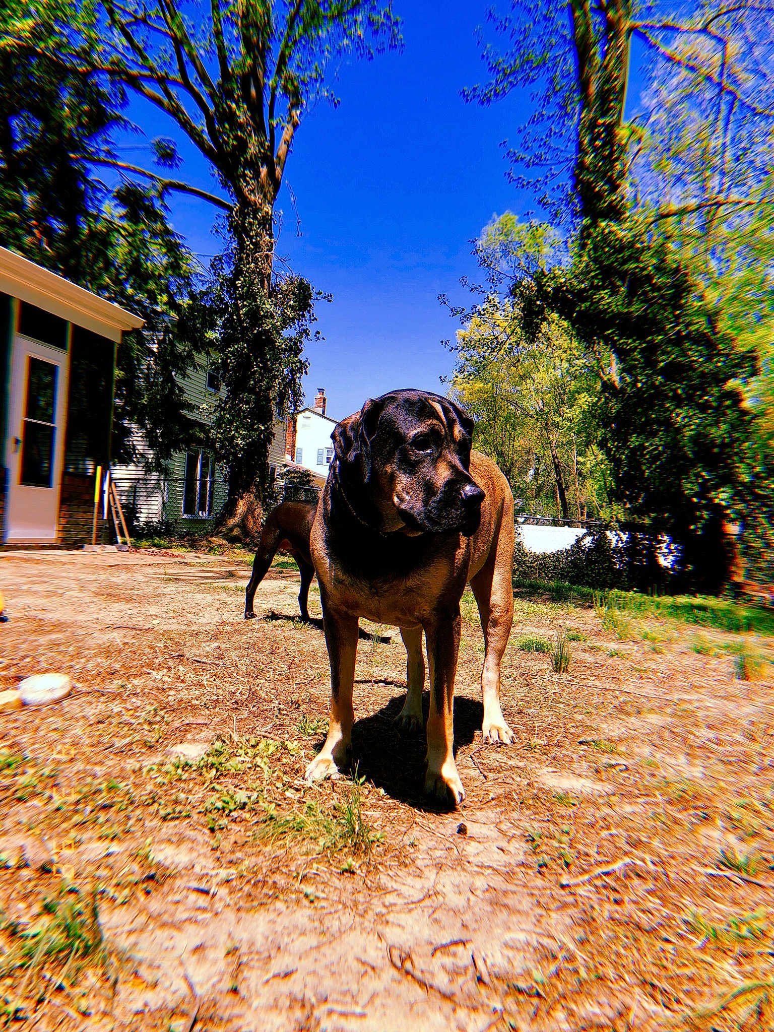 Titan