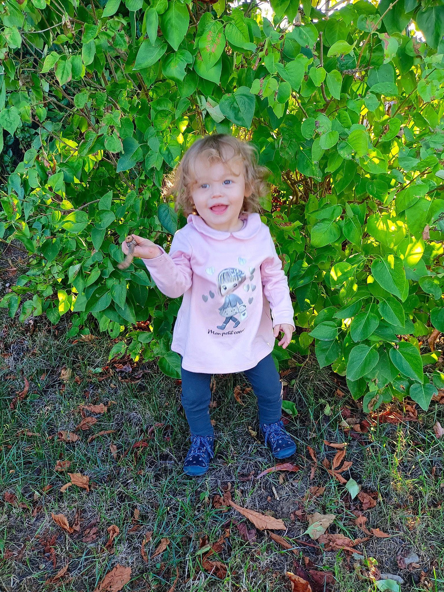 Maëlys a rejoint le concours — aidez-le/la à gagner de superbes lots ! annual_plant, autumn, baby_toddler_clothing, child, deciduous, flowering_plant, grass, groundcover, happy, head, joy, leaf, people_in_nature, person, plant, shrub, smile, toddler