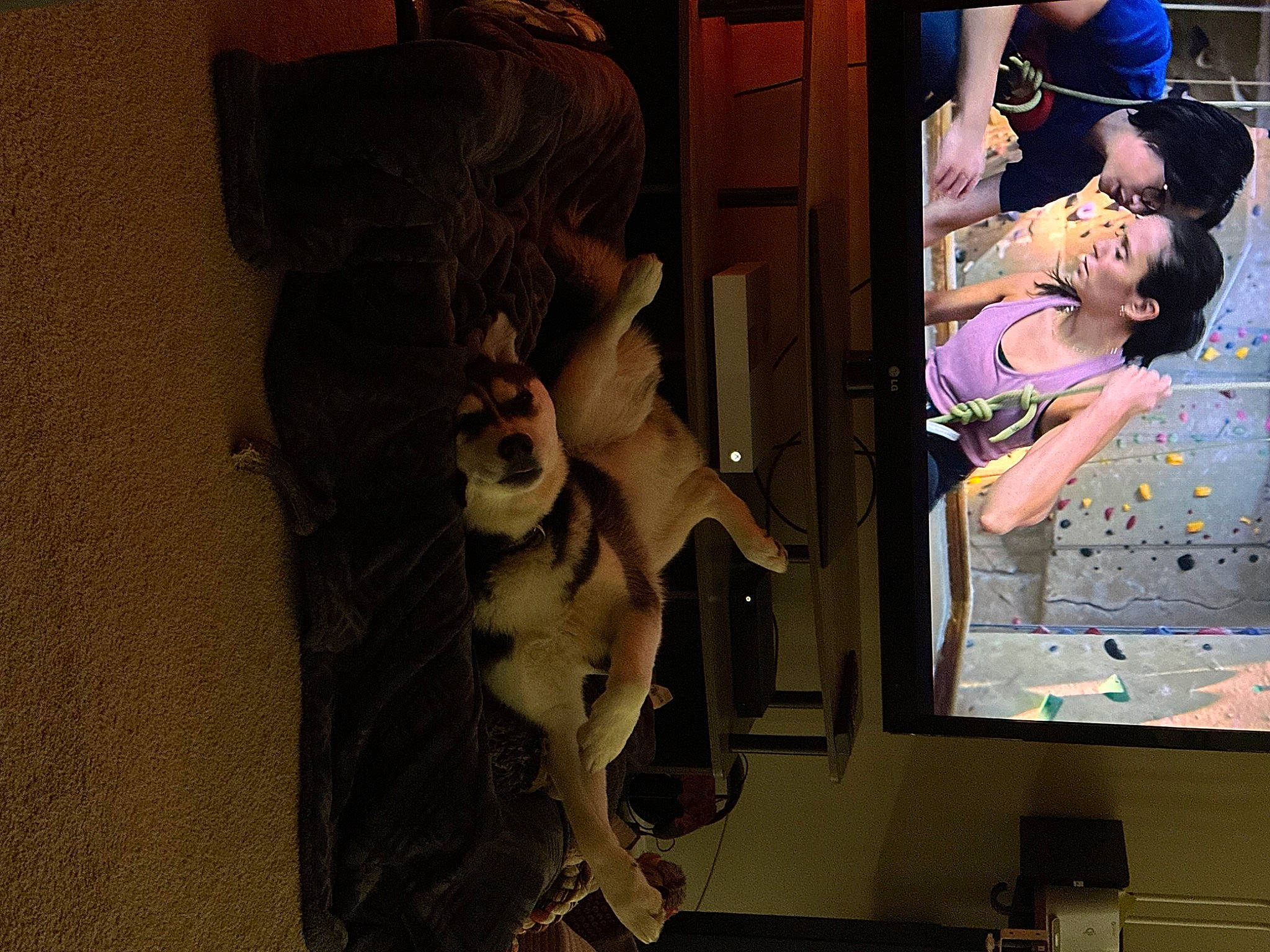 Minnie joined the competition — help win amazing prizes! animated_cartoon, animation, art, companion_dog, display_device, fawn, fiction, fun, fur, room, visual_arts