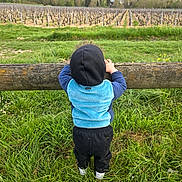 Linda joined the competition — help win amazing prizes! back_view, casual_wear, child, clothing, daylight, fence, field, grass, greenery, hoodie, landscape, nature, outdoor, person, plant, rural, scenic, toddler, vineyard, young_child