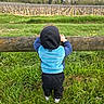 back_view, casual_wear, child, clothing, daylight, fence, field, grass, greenery, hoodie, landscape, nature, outdoor, person, plant, rural, scenic, toddler, vineyard, young_child